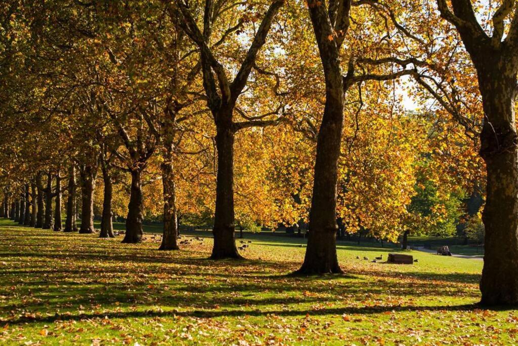 Stunning Notting Hill Not Active Appartamento
