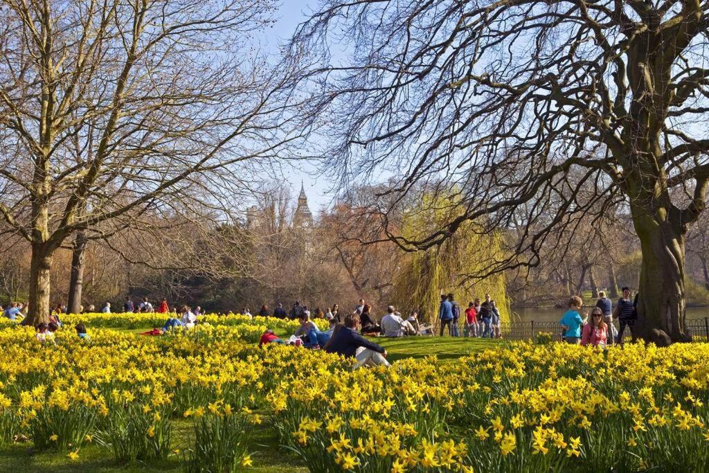 Stunning Notting Hill Not Active Londra
